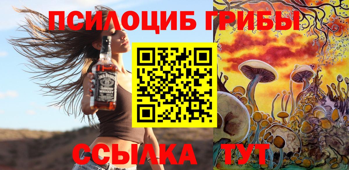 Галлюциногенные грибы Psilocybine cubensis Тулун